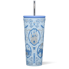 Disney Princess Cold Cup - Travel Clean Ready Pack